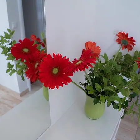 Ruzica Apartment *