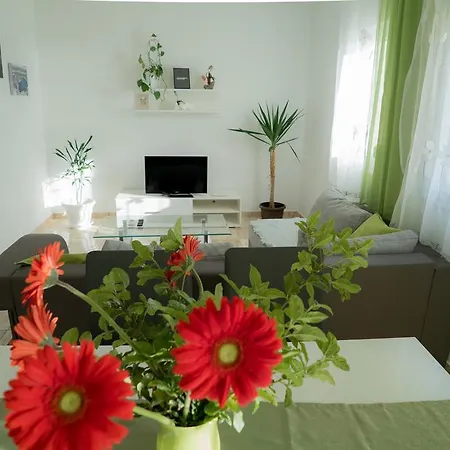 Ruzica
